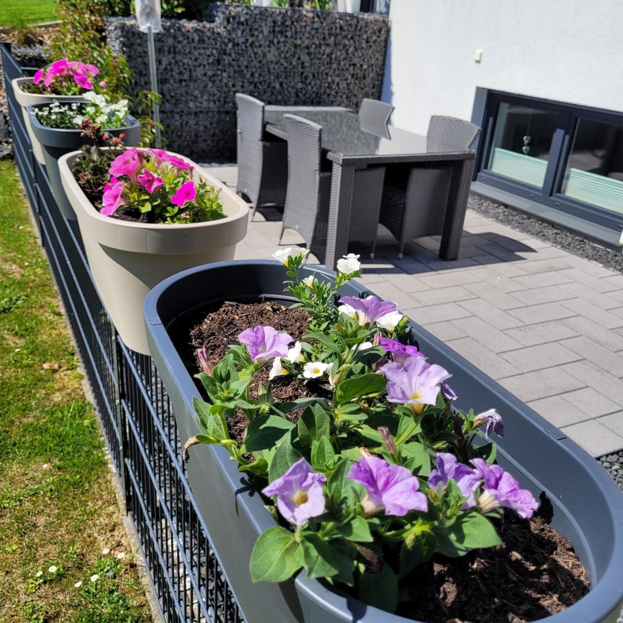Eifelherz Mit Sonnenterrasse Nideggen Exteriér fotografie